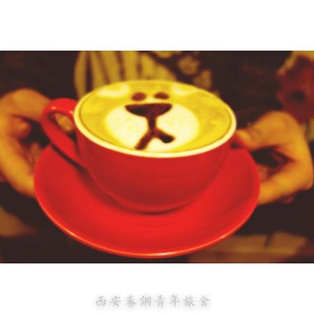 Xi'An Qindiao Youth Hostel Сиань Экстерьер фото