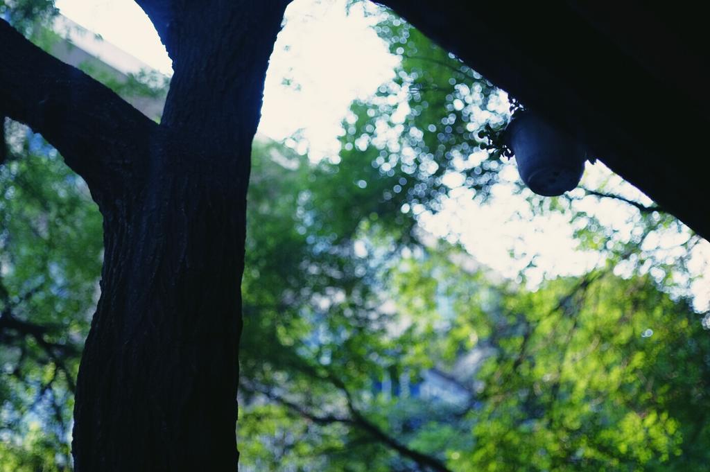 Xi'An Qindiao Youth Hostel Сиань Экстерьер фото