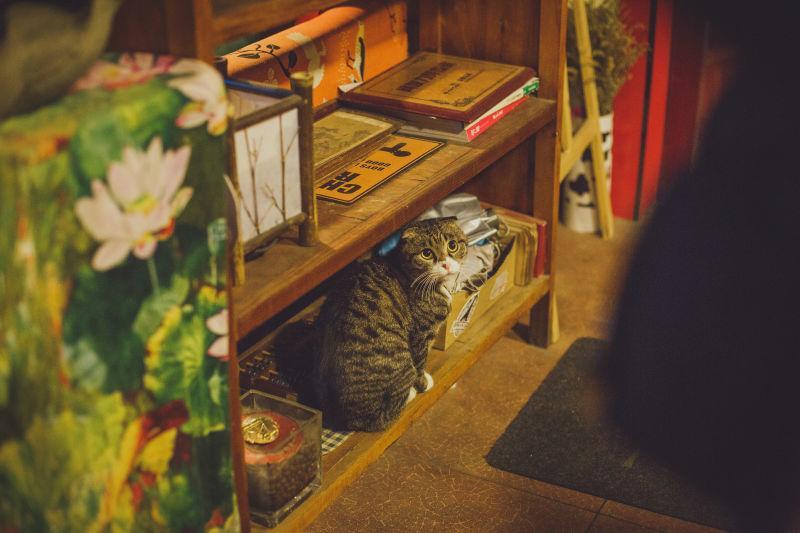 Xi'An Qindiao Youth Hostel Сиань Экстерьер фото